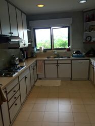 The Arcadia (D11), Condominium #301668441